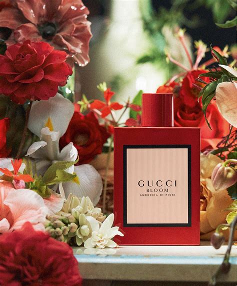 perfume gucci bloom opiniones|Gucci Bloom ambrosia perfume review.